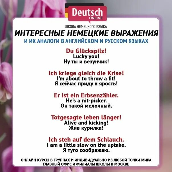Русско немецкие выражения. Deutsch online школа немецкого языка. забавные выражения на немецком. популярные фразы на немецком. интересные фразы немецкий язык.