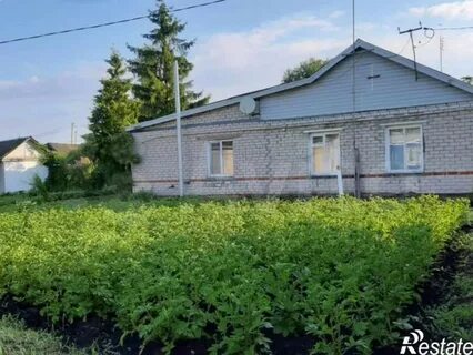 Авито тамала пензенская область