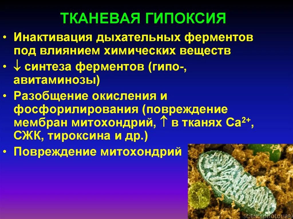 Гипоксия мозга препараты. Тканевая гипоксия. Тканевая (гистотоксическая) гипоксия. Первичная и вторичная тканевая гипоксия. Тканевая гипоксия гипоксия.