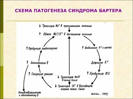Псевдо барттера