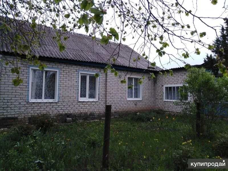Дубровка (рабочий посёлок, Дубровский район). Дубровка посёлок Дубровский район. Брянская область Дубровский район поселок Дубровка Дубровчани. Дубровка Брасовский район Брянская область