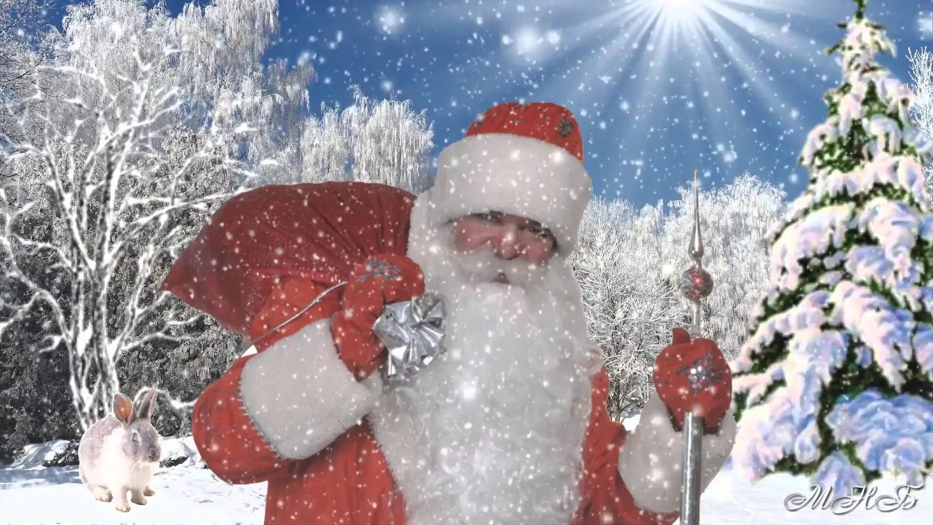 Дед мороз в лесу. Снег идет снег идет дед мороз. Зимний фон. Зимняя метель. Падающий снег.