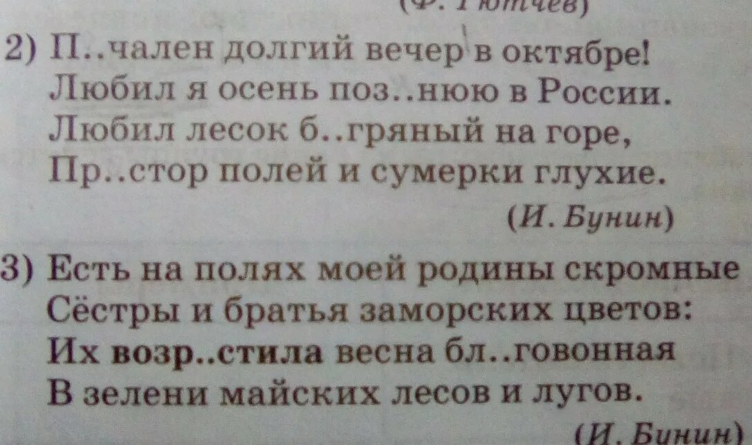 Четверостишие. Текст четверостишье. Четверостишье с словосочетанием. Сильные четверостишья