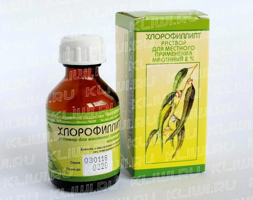 хлорофиллипт от стафилококка в горле. хлорофиллипт масляный стафилококк. хлорофиллипт масляный раствор. масляной раствор хлорфилипт. хлорофиллин экстракт эвкалипта раствор 2 %.