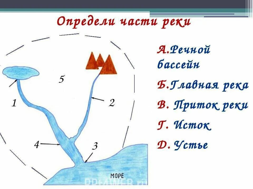 Части реки 6 класс. Река Исток русло схема. Схема реки Исток приток Устье. Схема реки части реки. Установи соответствие схема реки.