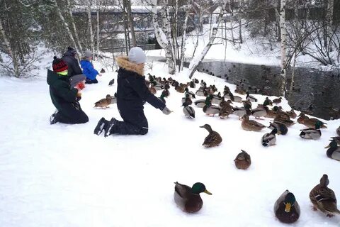 Сормовский парк нижний новгород 1 июня