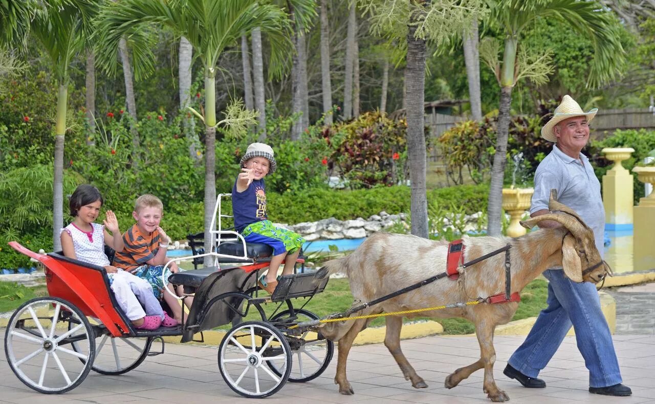 Кайо коко tryp cayo coco. Tryp cayo coco 4 куба. tryp cayo coco 4* куба, хардинес-дель-рей. трип кайо коко. отель трип кайо коко.