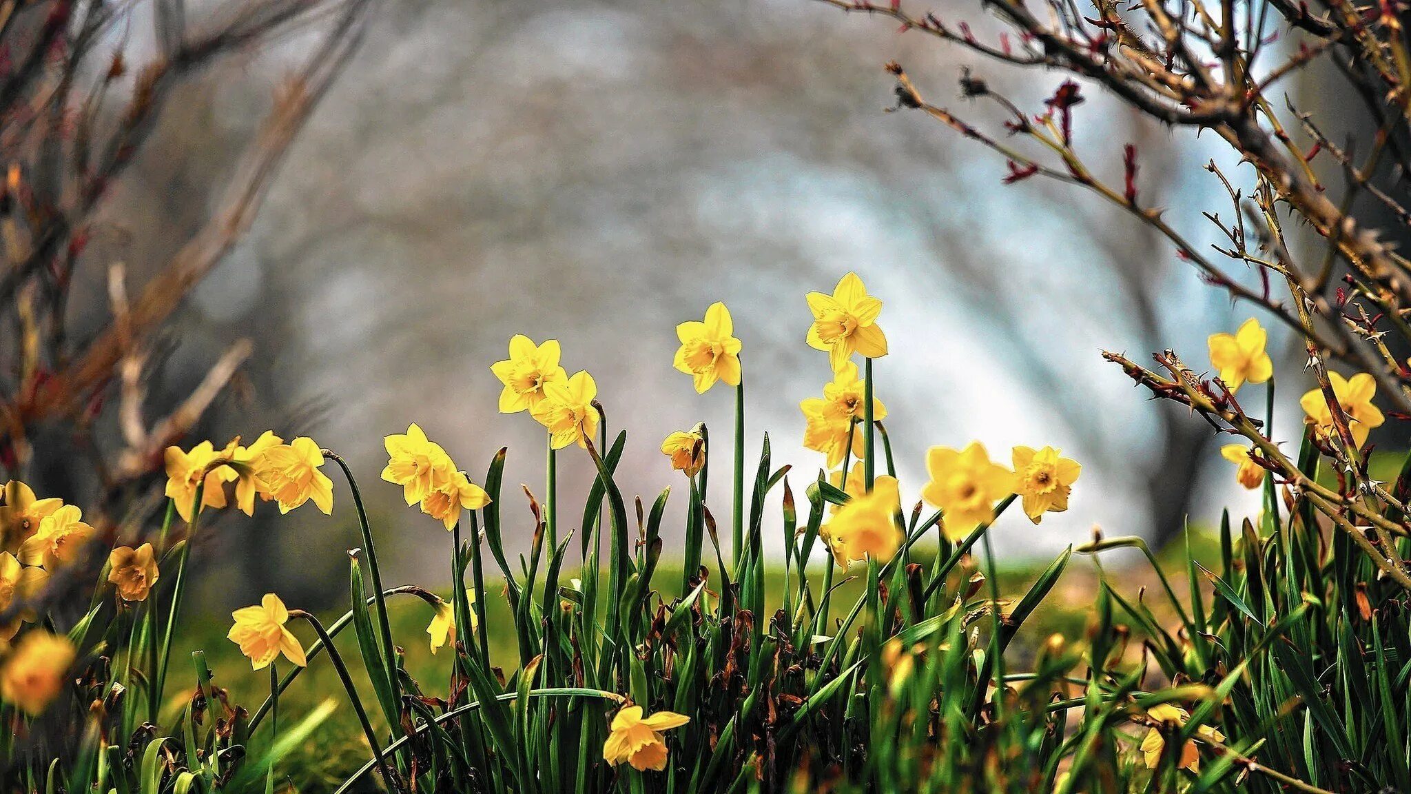 Weather spring