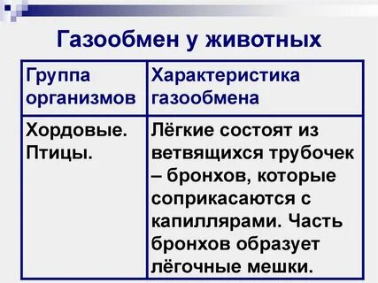 Газообмен животных