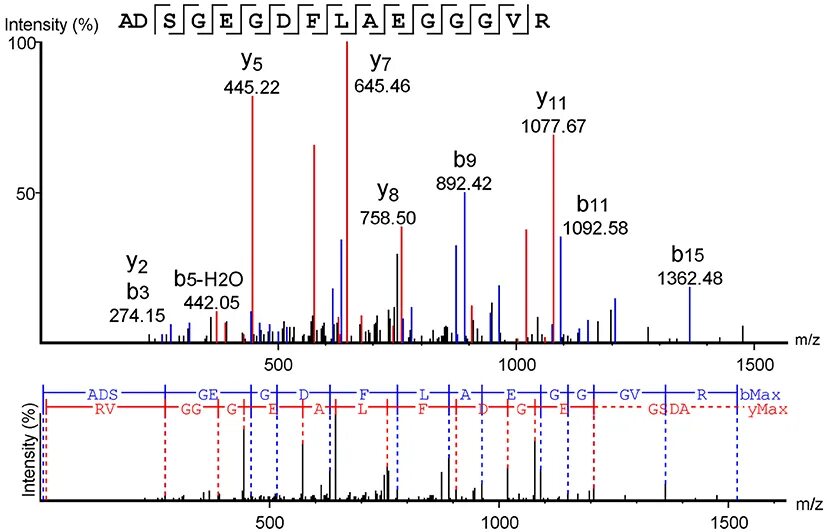 Mass data. Mass spectrometry analysis. mass spectrometry analyzer. mass spectrometry data. middle down спектрометрия.