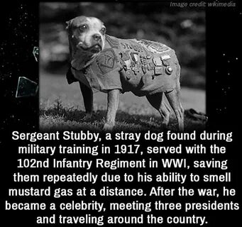 Found during