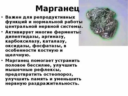 Все живые организмы содержат каталазу