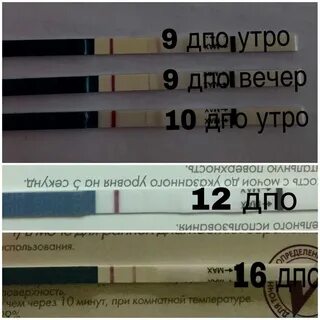 Тест па 2