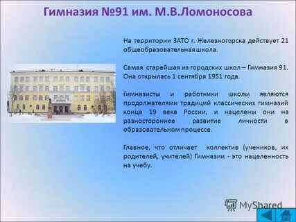 Гимназия 91