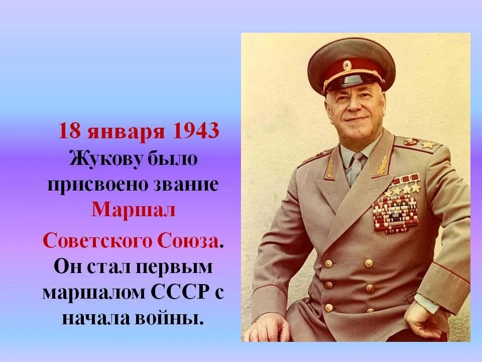 Сколько лет было жукову