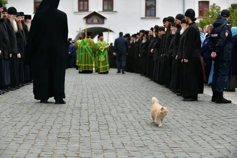 Патриарх валаам