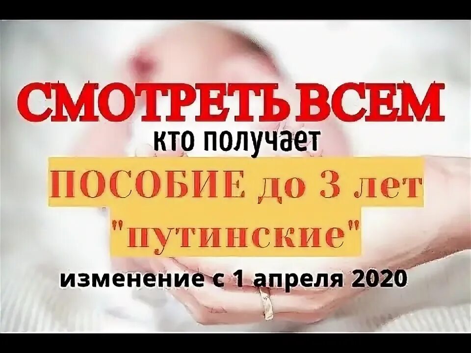 Документы для получения путинских. Документы для получения путинских