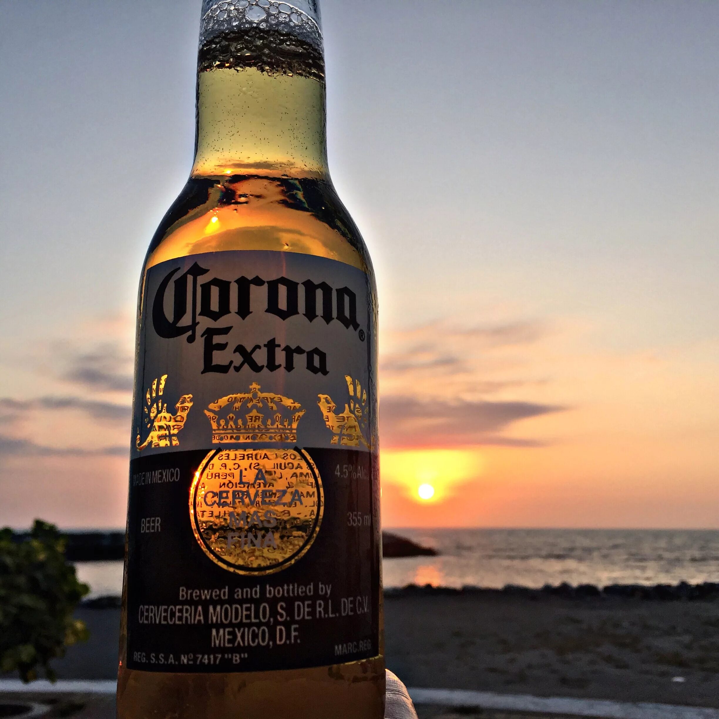 Как пить пиво корона. Пиво корона Мексика. Мексиканское пиво корона Экстра. Corona Extra 0.5. Corona пиво Мексиканское.