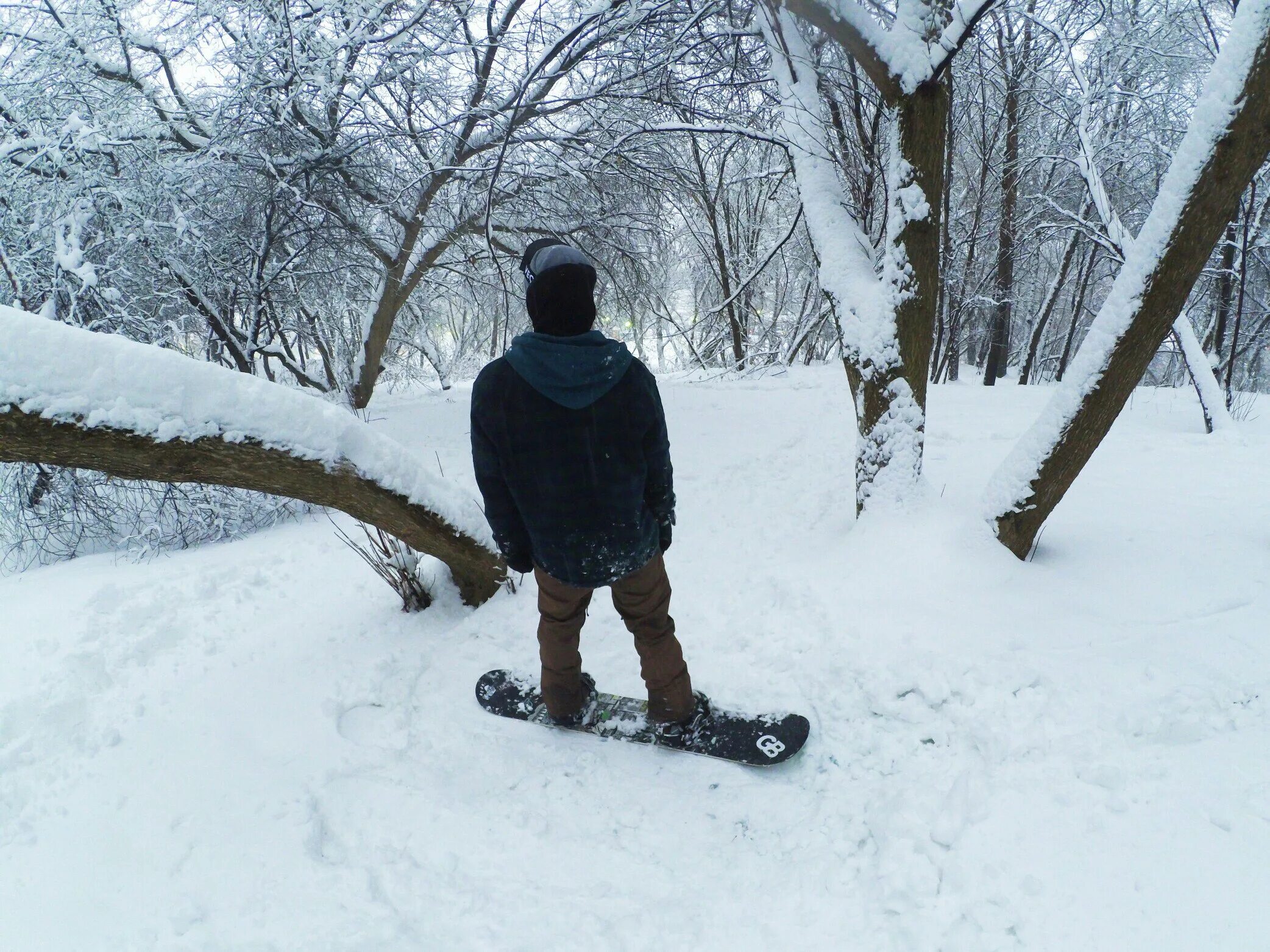 Реш 31. Реш 31