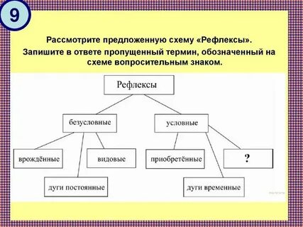4 какие виды схем вы знаете