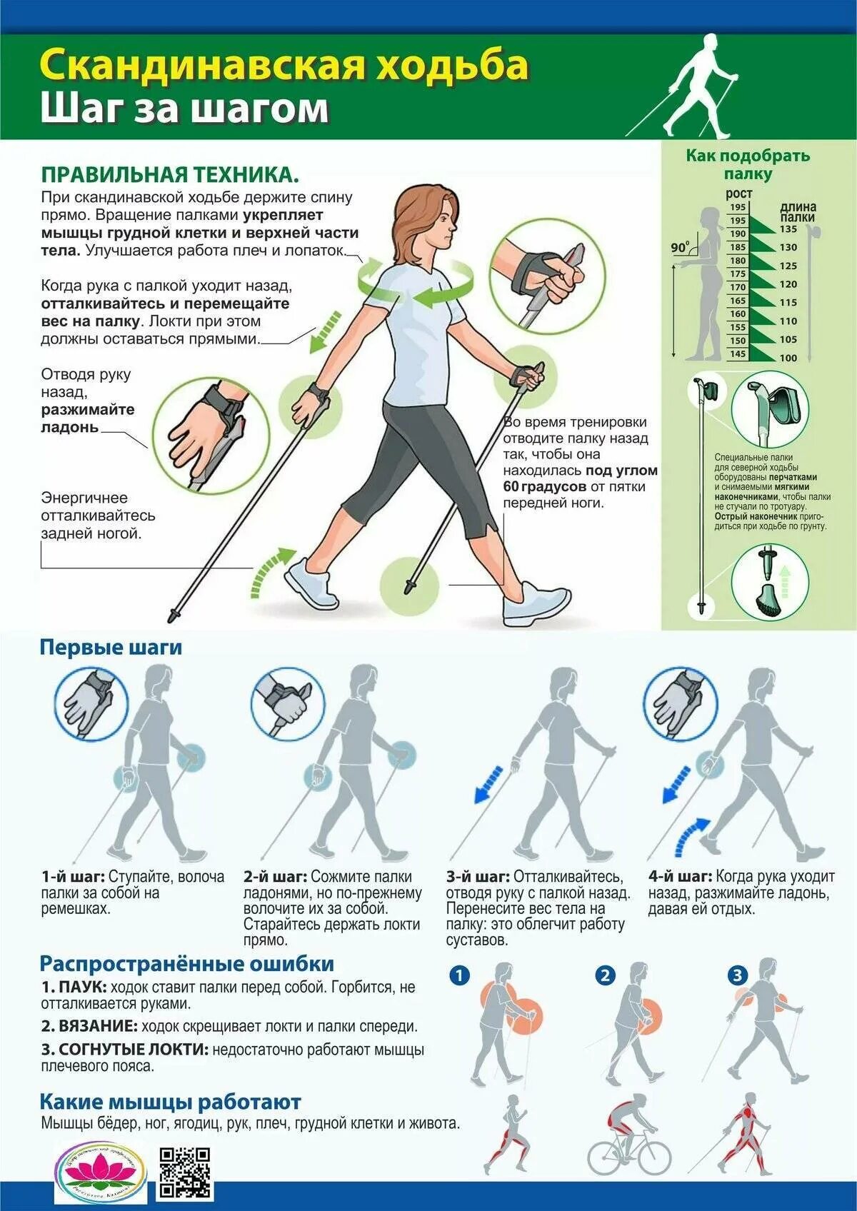 Скандинавская ходьба урок начинающим. Методика скандинавской ходьбы с палками для начинающих. Северная ходьба с палками техника ходьбы для пожилых людей. Правила ходьбы со скандинавскими палками для начинающих. Правильно ходить скандинавской ходьбой с палками.