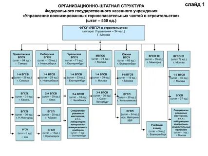Организационно штатные вопросы