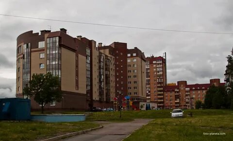 Ломоносов костылева