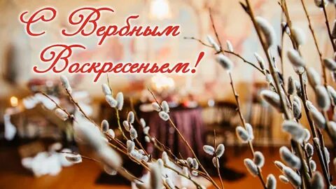 Цвет вербного воскресенья
