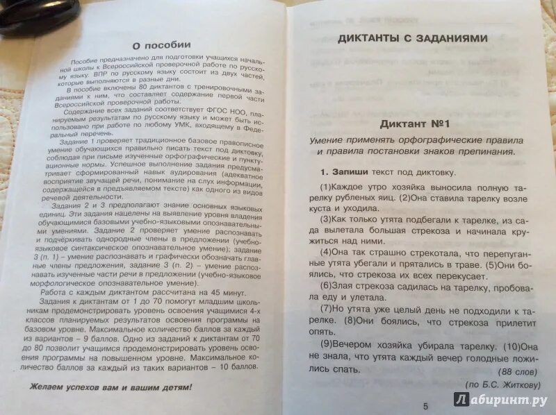 Наступил прекрасный июльский день впр 6. Диктант ВПР. Русский язык диктант. Диктант для 4 классов. ВПР четвёртый класс диктант.