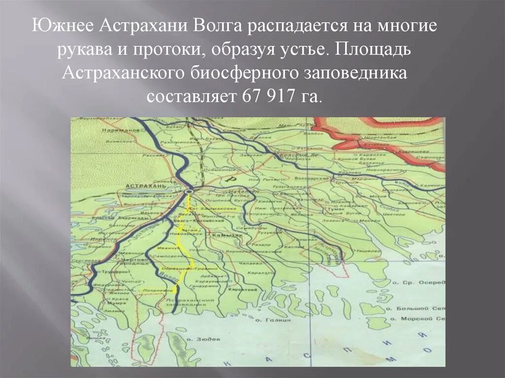 В каком географическом районе находится астраханская область. Астраханский биосферный заповедник на карте. Астраханский биосферный заповедник на карте России. Границы биосферного заповедника Астрахань. Границы Астраханского биосферного заповедника на карте.