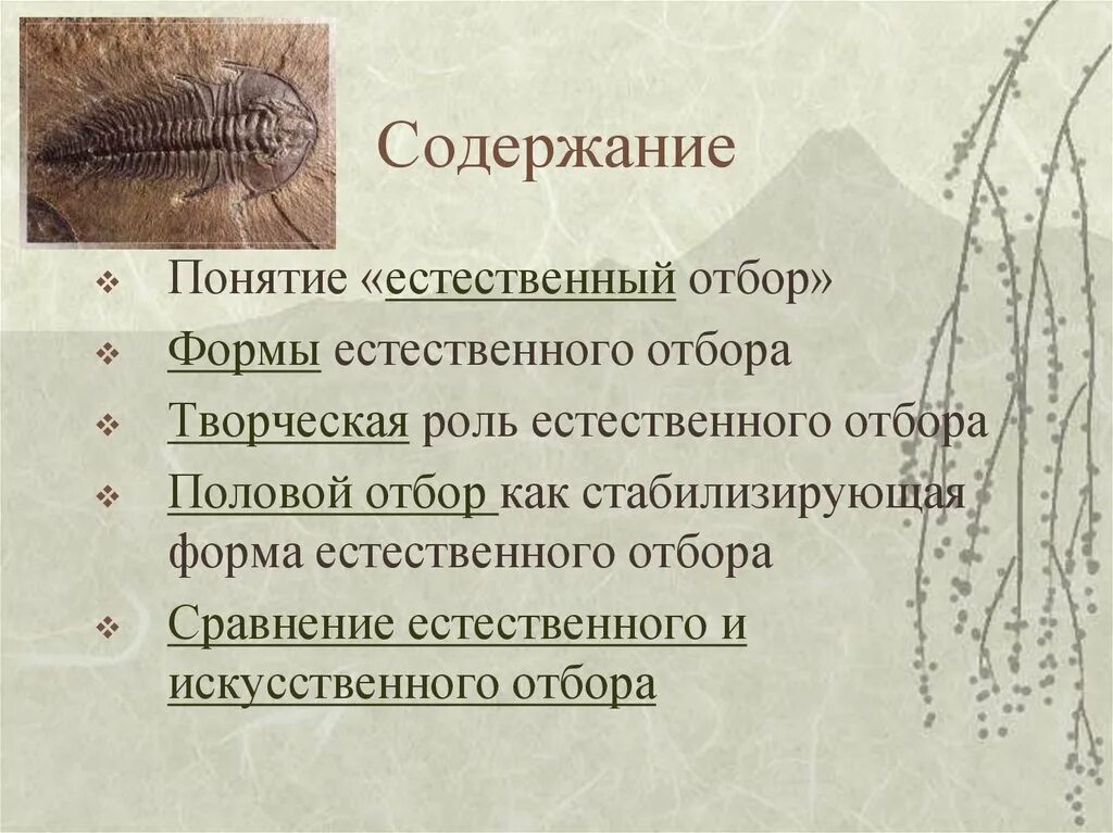 Естественный отбор содержание