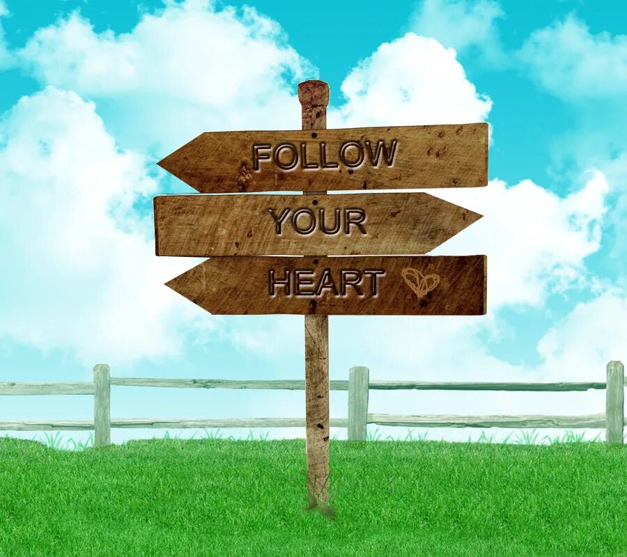 You need to follow your. Follow your heart. follow your. follow your heart игра. follow your heart фото.