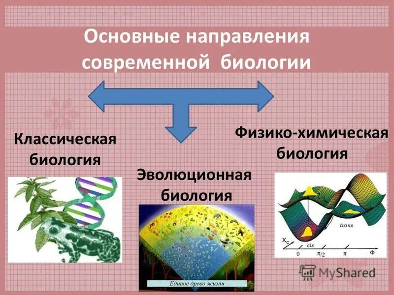 Биология в современном обществе