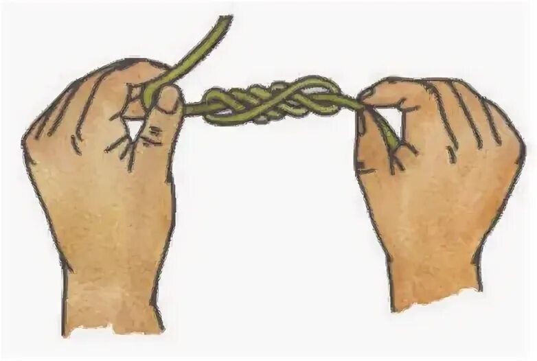Pull 3
