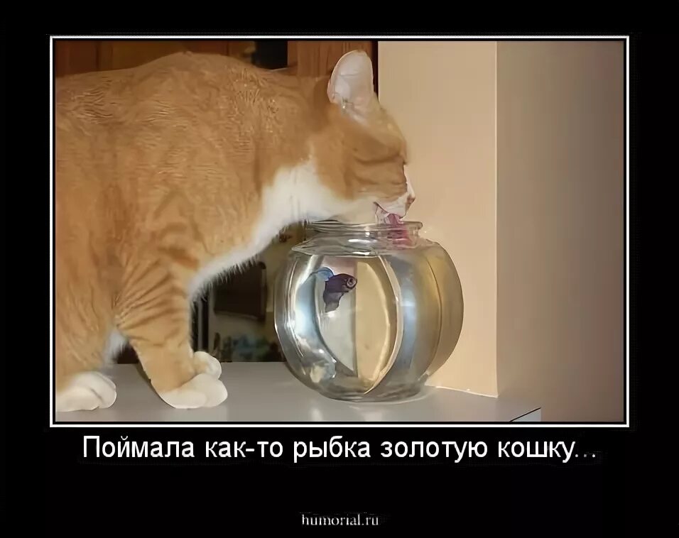 Как мыть язык