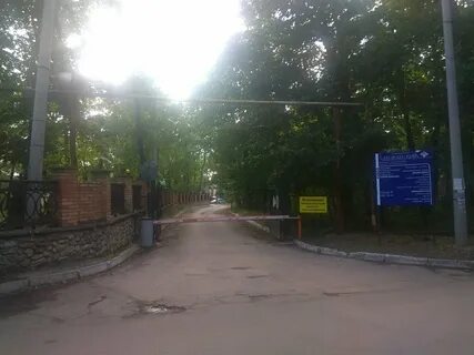 Центр дубового
