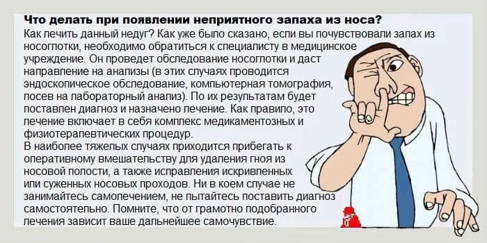 Запах из носа гнилью у взрослого. Неприятный запах в носу причины. Пахнет из носа у взрослого причины. Неприятный запах из носа причины.