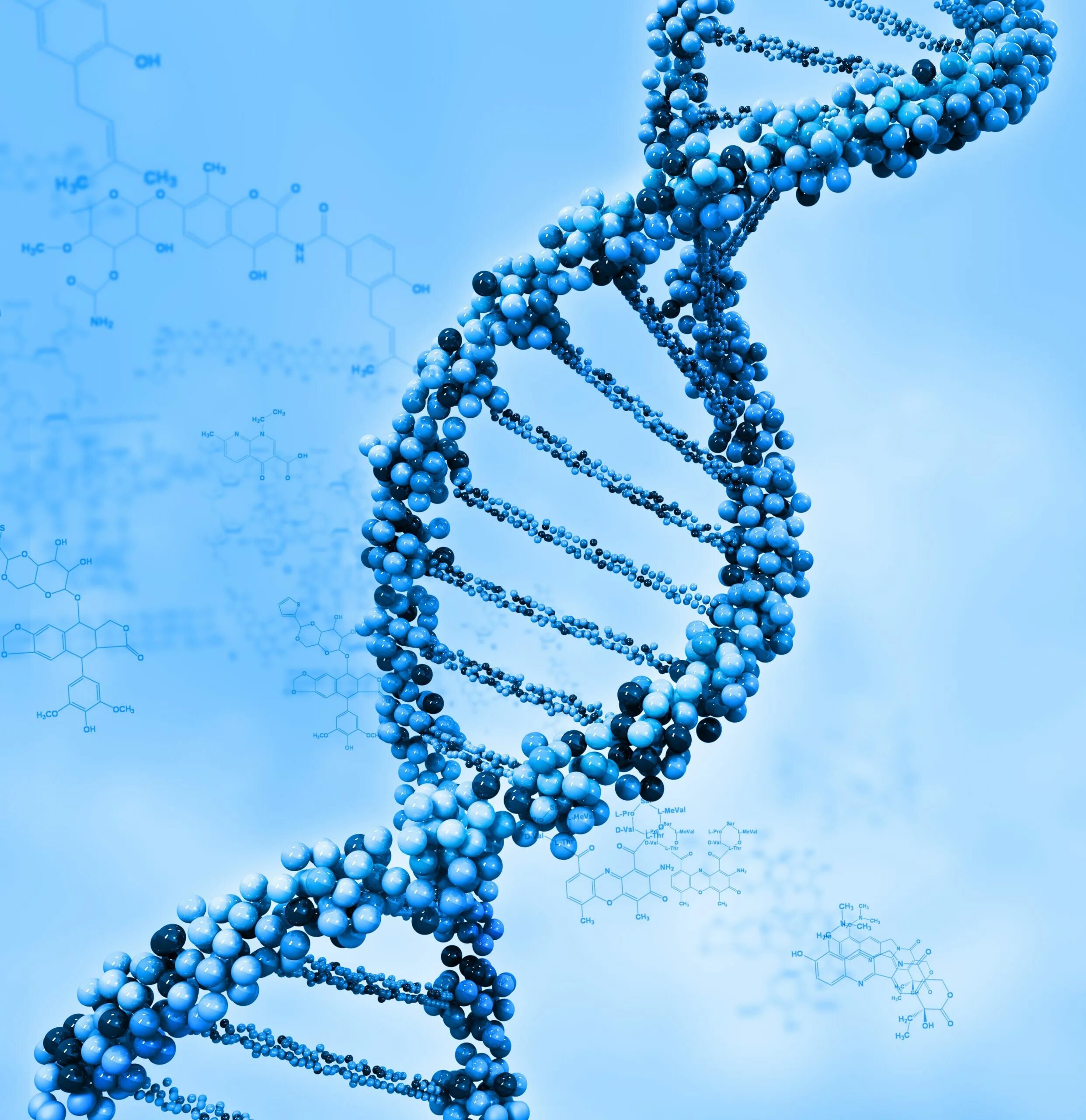 ДНК гены геном. ДНК генетика биология. ДНК ген геном генотип. Ген цепочка ДНК.