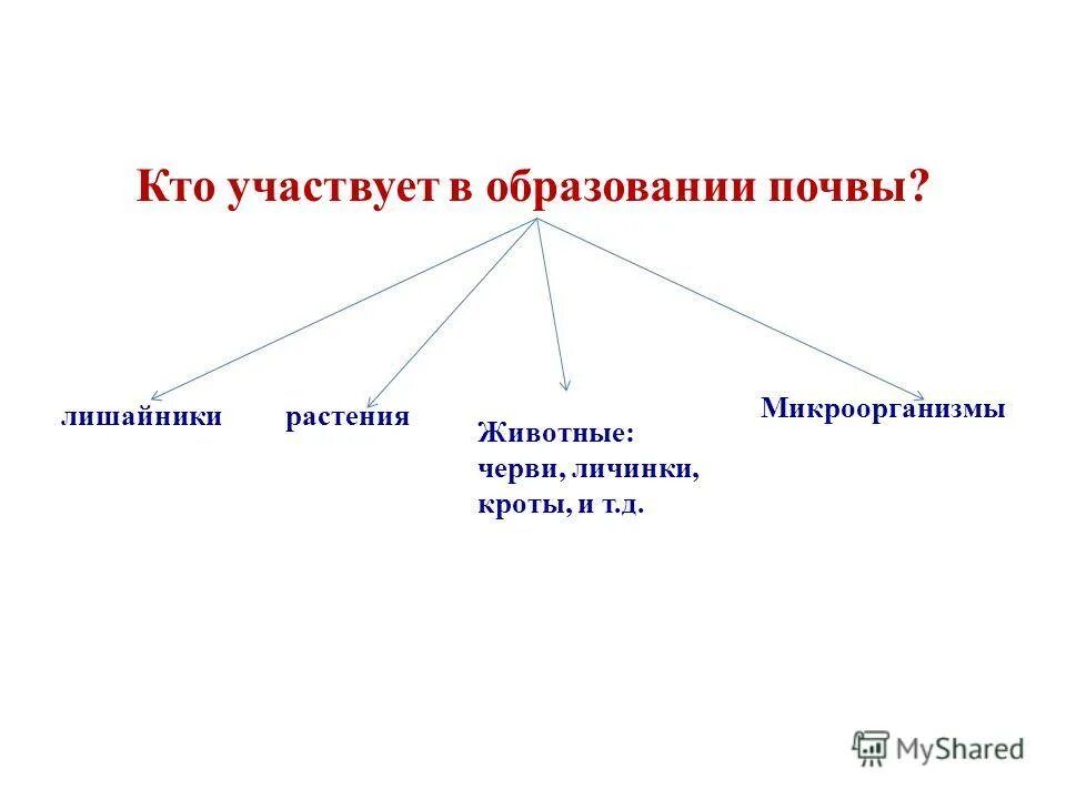 Растения участвуют в образовании почвы. Растительность участвует в образовании почвы. Что участвует в образовании почвы подчеркни. Растения участвуют в образовании почвы. Кто участвует в формировании почвы.