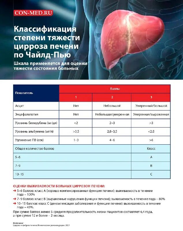 нагрузки при цирроз печени. нагрузки при цирроз печени. диагностические критерии цирроза печени. хронический гепатит б цирроз печени. риск развития гцк при циррозе печени.