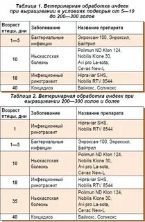 Чем поить индюшат с первых дней жизни