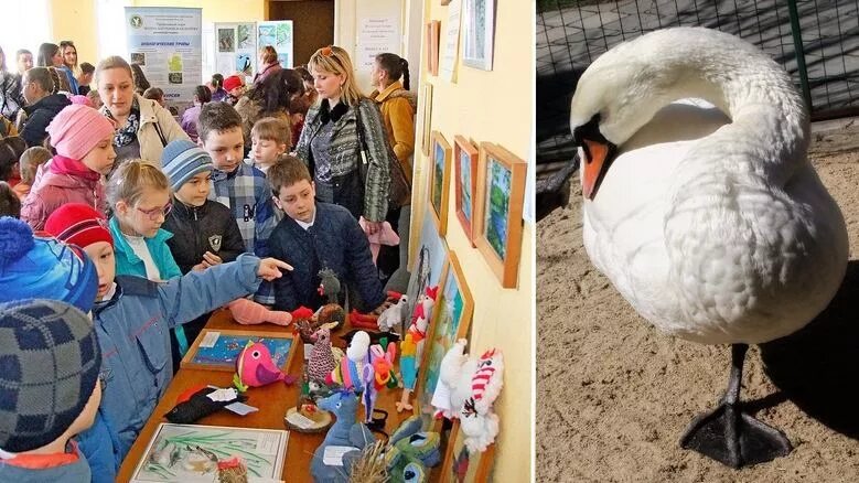 Развлечение Международный день птиц. Фото день птиц в школе. Дети и родители на празднике птиц. Что провести в саду на день птиц.