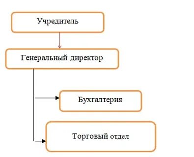 Организация бухгалтерского учета курсовая
