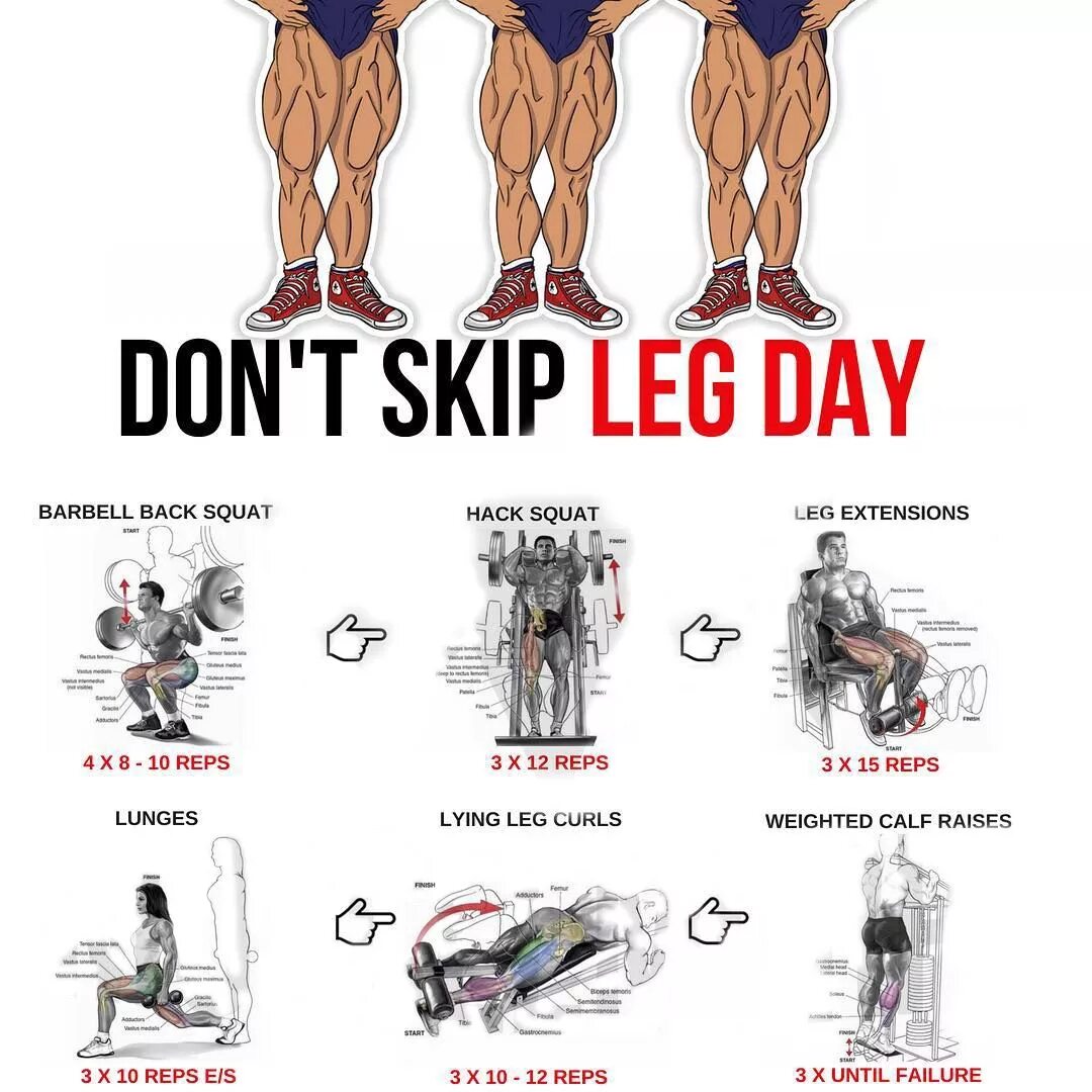 Leg day перевод. День ног упражнения. День ног упражнения для мужчин. День ног тренировка. День ног в тренажерном зале для мужчин.