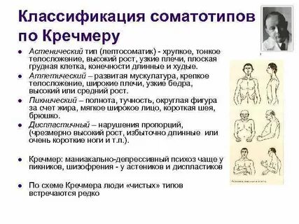Человек вид классификация