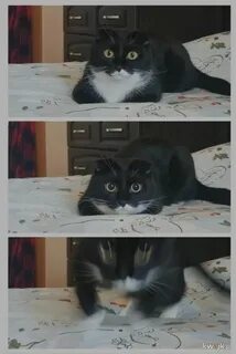 Режим убийцы