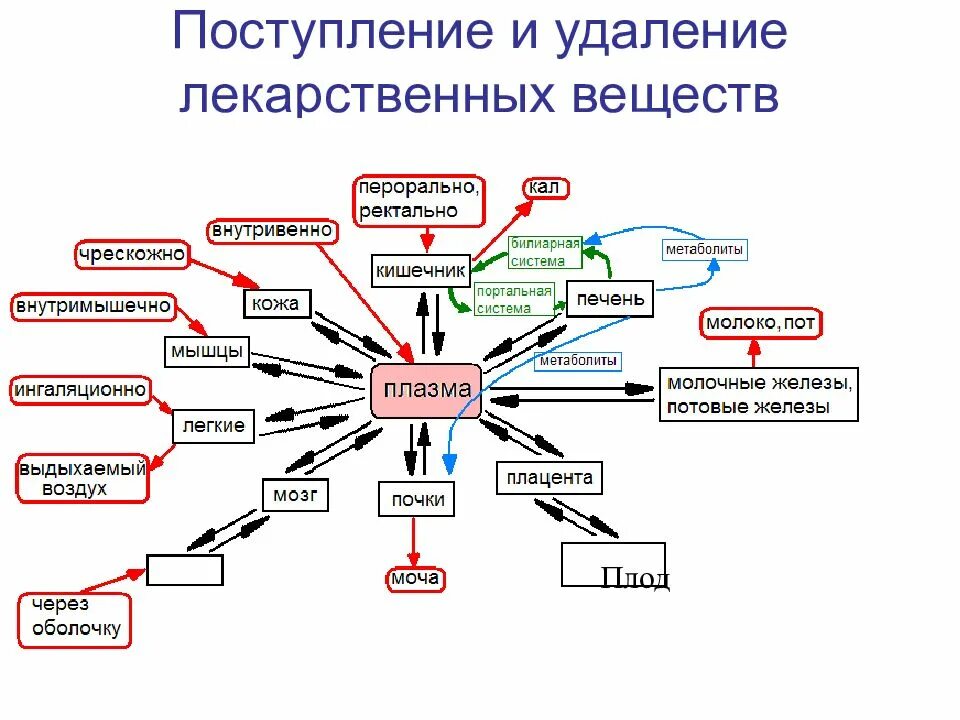 Происхождение лекарственных форм. История появления лекарственных препаратов. Лекарственные формы схема. Лекарства история возникновения. Исторический путь лекарственных препаратов.