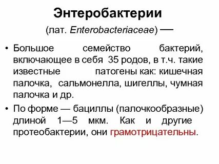 Семейства бактерий
