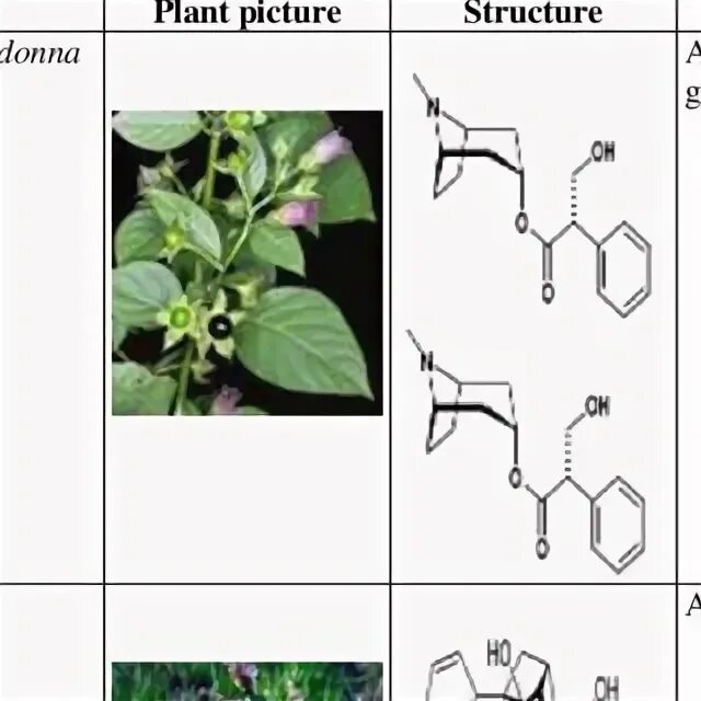 Alkaloids isolated from the Mogoltavia Plant. Alkaloids isolated from the Plant Mogoltavia severzovii. Believe 4 leaves alkaloid.