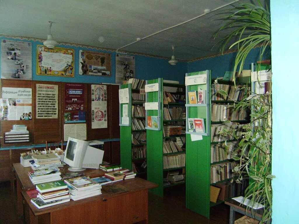 Оформление школьной библиотеки. Школьные сельские библиотеки. Обустройство библиотеки в школе. Кугушергская сельская библиотека. Школьная библиотека в селе.